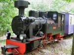 Dampf/187555/luise-vor-personenzug Luise vor Personenzug