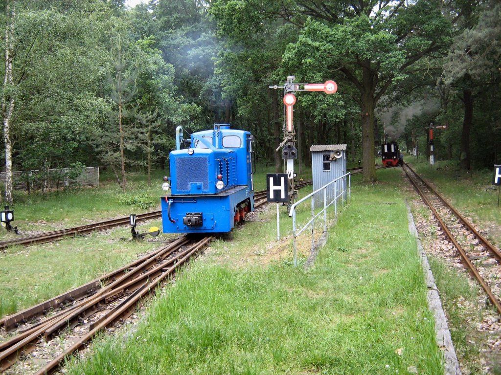 Blaue Diesellok der Parkeisenbahn