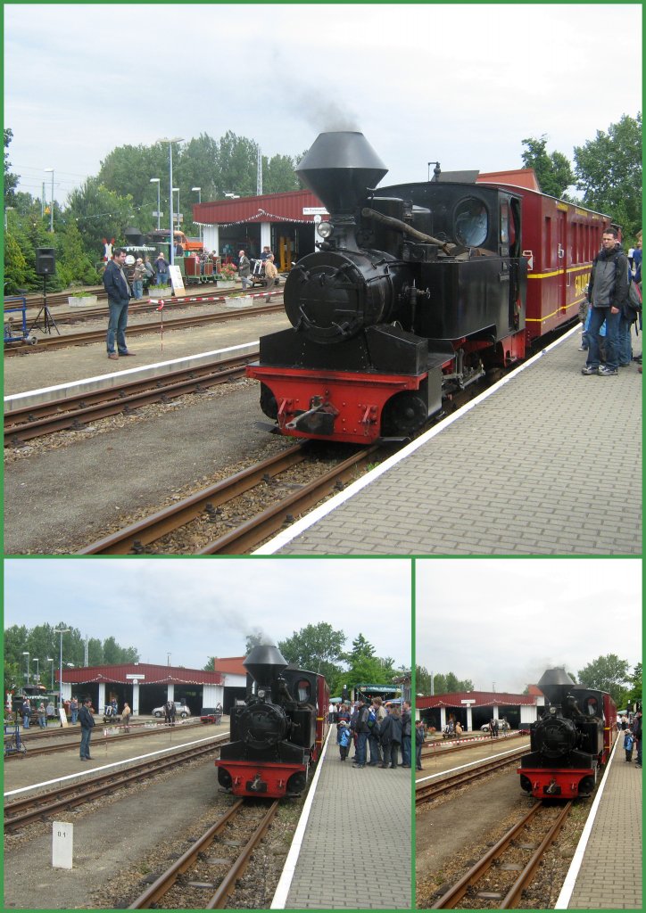 Dampf Parkeisenbahn Cottbus 2009