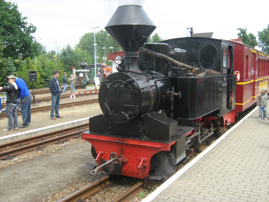 Dampfzug der Parkeisenbahn 2009