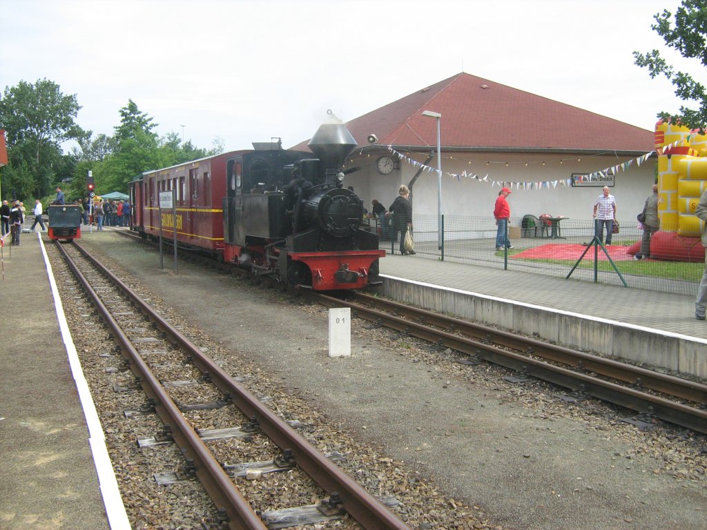 Dampfzug der Parkeisenbahn Cottbus