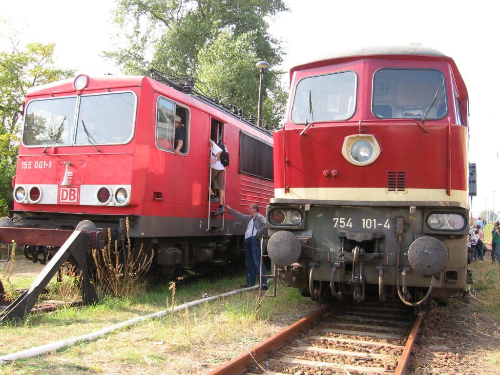 Diesel- und E-Lok in Schneweide