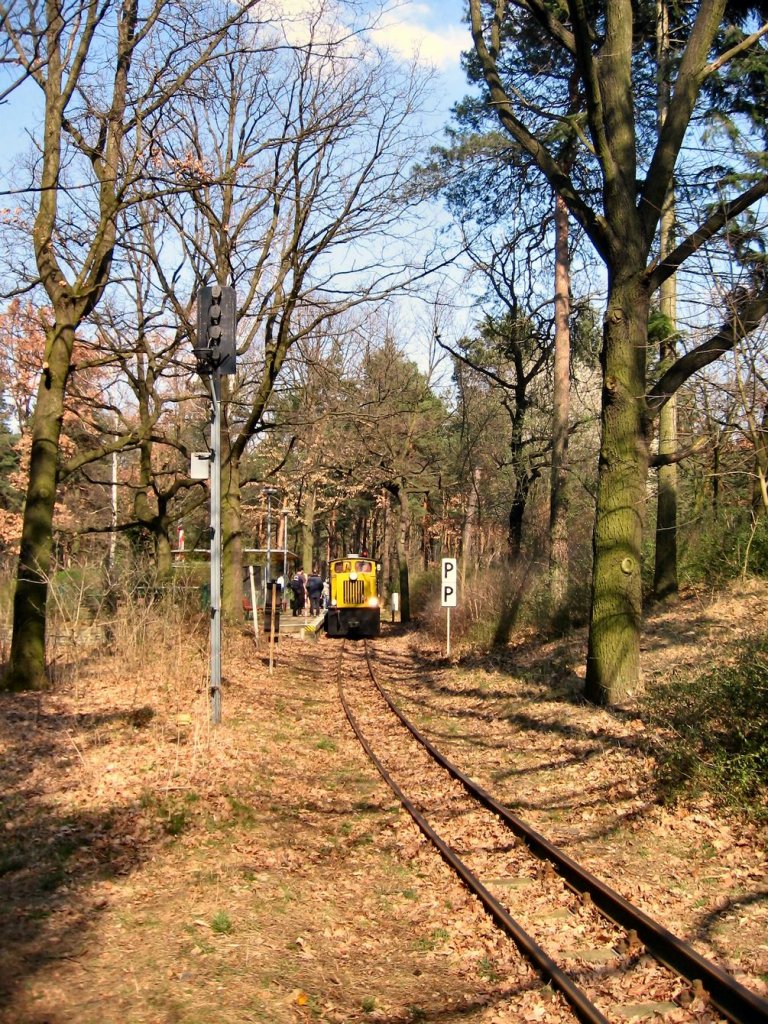 Dieselzug auf der Parkeisenbahn