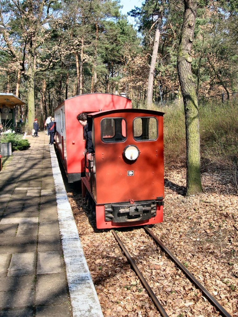 Dieselzug auf der Parkeisenbahn