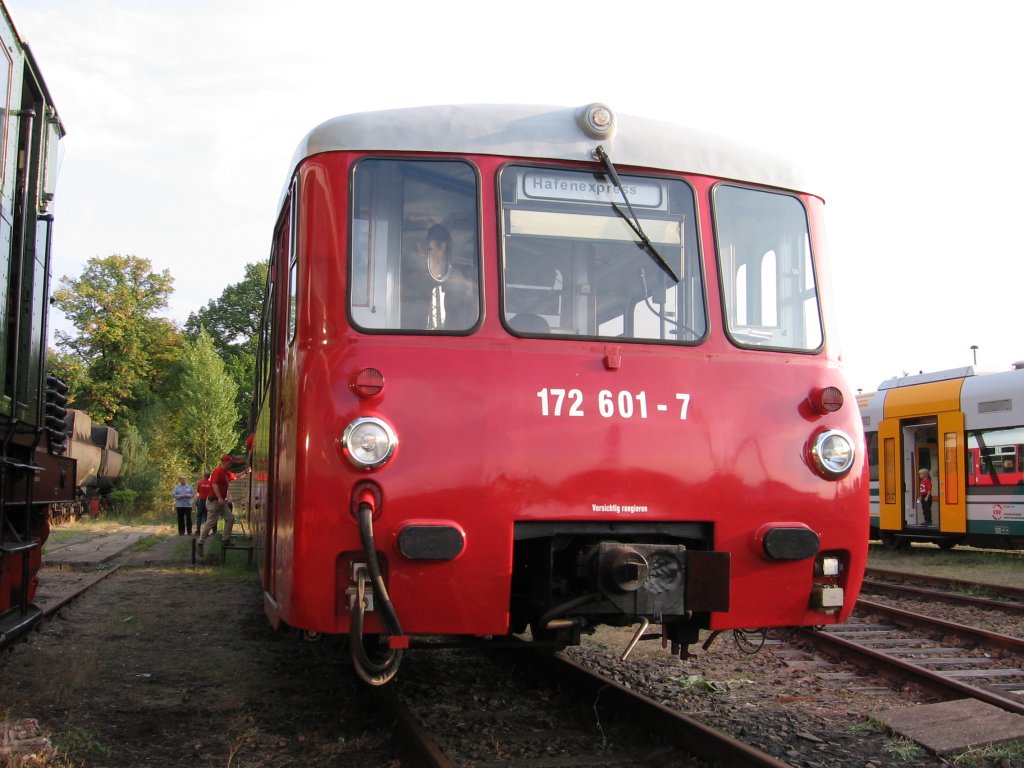 LVT Ferkeltaxe in Schneweide